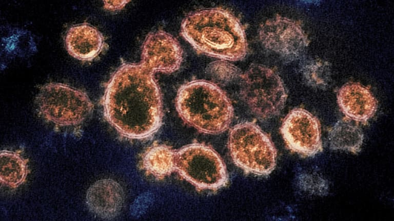 Scientists Fear A More Contagious Coronavirus Strain Has Emerged