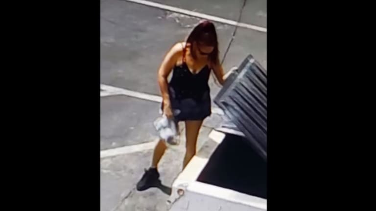 Woman Receives Year In Jail For Throwing Puppies Into Trash Can