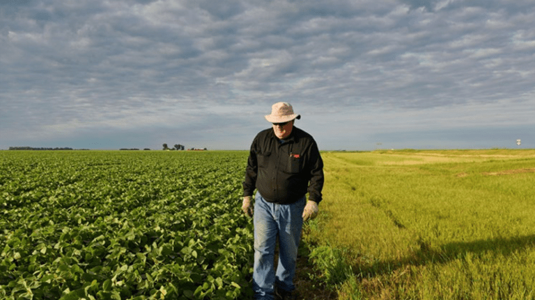 Trump Bailout Funds Were Received By Farmers Convicted Of Fraud