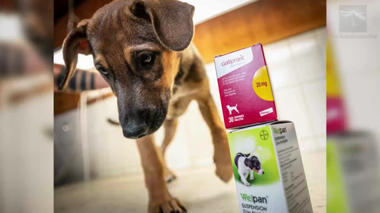 Bayer Sells Animal-Health Division To Elanco